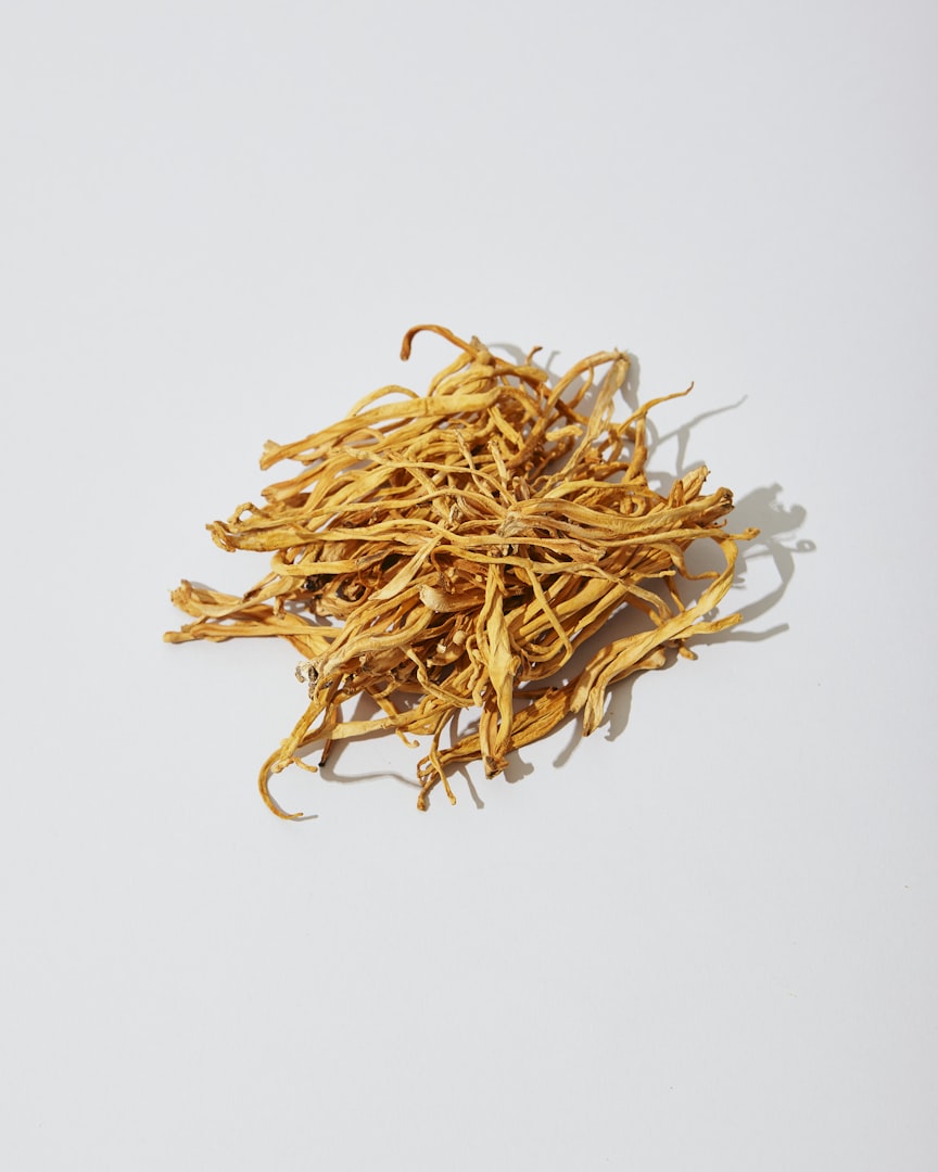 cordyceps immunerősítés gomba